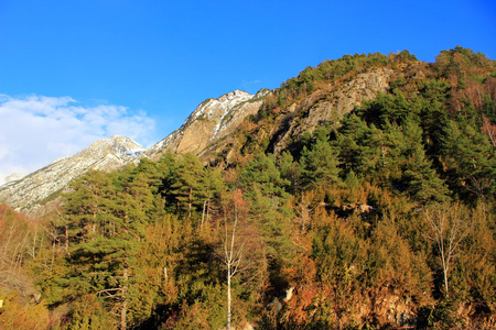 冬天，春天在比利牛斯山