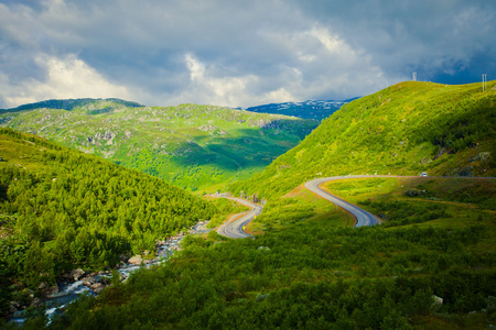 冰岛马在美丽风景的一个著名的旅游的地方冰岛北部湖附近的草地上