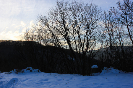 冬季风景与雪