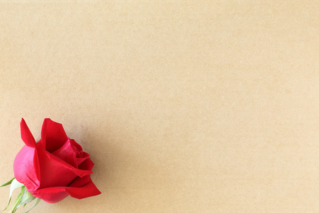 红色玫瑰花在空白纸张上的页的创意你消息，te