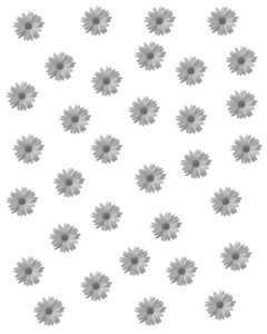 洋甘菊暗棕色背景上孤立的花朵。孤立的洋甘菊花在背景上。花洋甘菊，洋甘菊的设计元素，图形艺术。花卉，甘菊花的插图