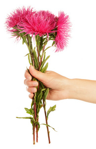 粉色的花朵在手