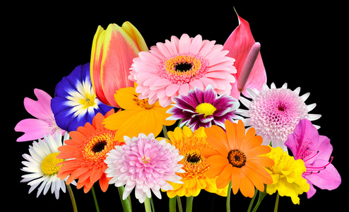 花花束收集的各种五颜六色的鲜花，孤立