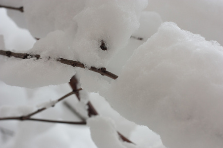 克拉斯诺达尔的雪冬