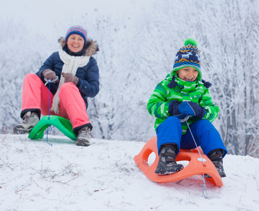 家庭玩雪橇在冬季公园