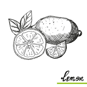 手工绘制的柠檬水果