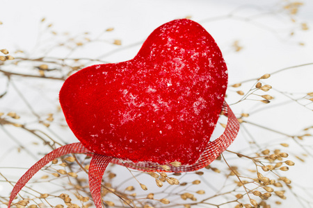 红红松心作为爱情情人节名字的象征