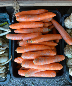 在农贸市场出售新鲜花园胡萝卜
