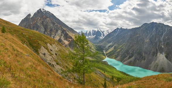 阿尔泰山