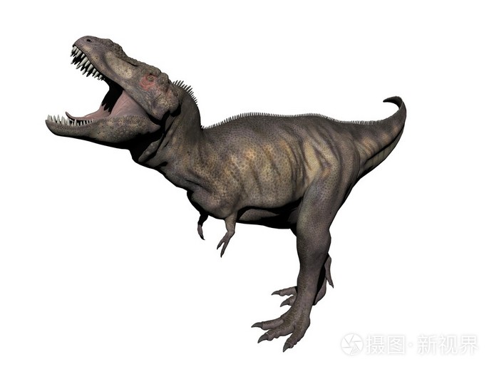 霸王龙恐龙-3d 渲染