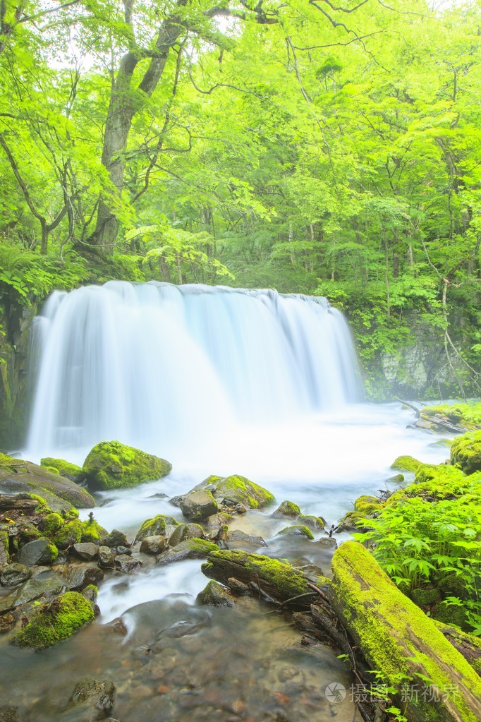 新鲜绿色和瀑布