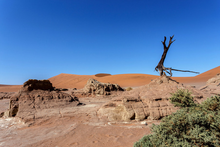 死亡之谷，纳米比亚 Sossusvlei 亮丽的风景线