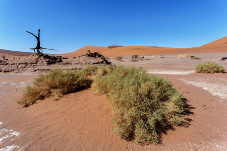 死亡之谷，纳米比亚 Sossusvlei 亮丽的风景线