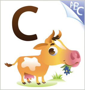 为孩子们的动物字母: c 牛照片