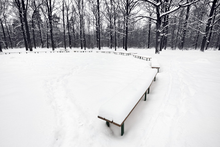 城市公园有长椅的雪景公共区域图片