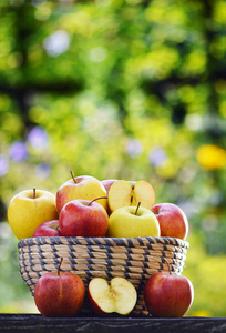 在花园里的有机苹果。均衡的饮食