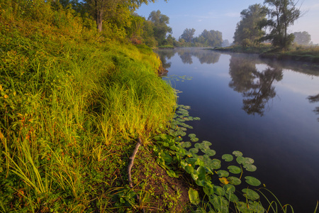 美丽的夏天水景观的阳光照片