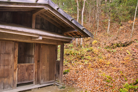 秋天森林的木小屋