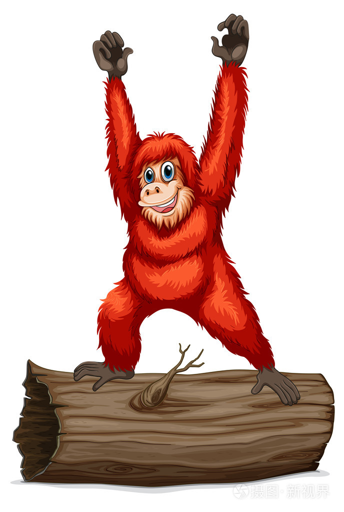 红毛猩猩的日志