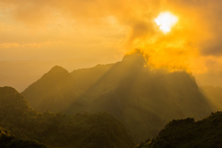 晨光的森林和山