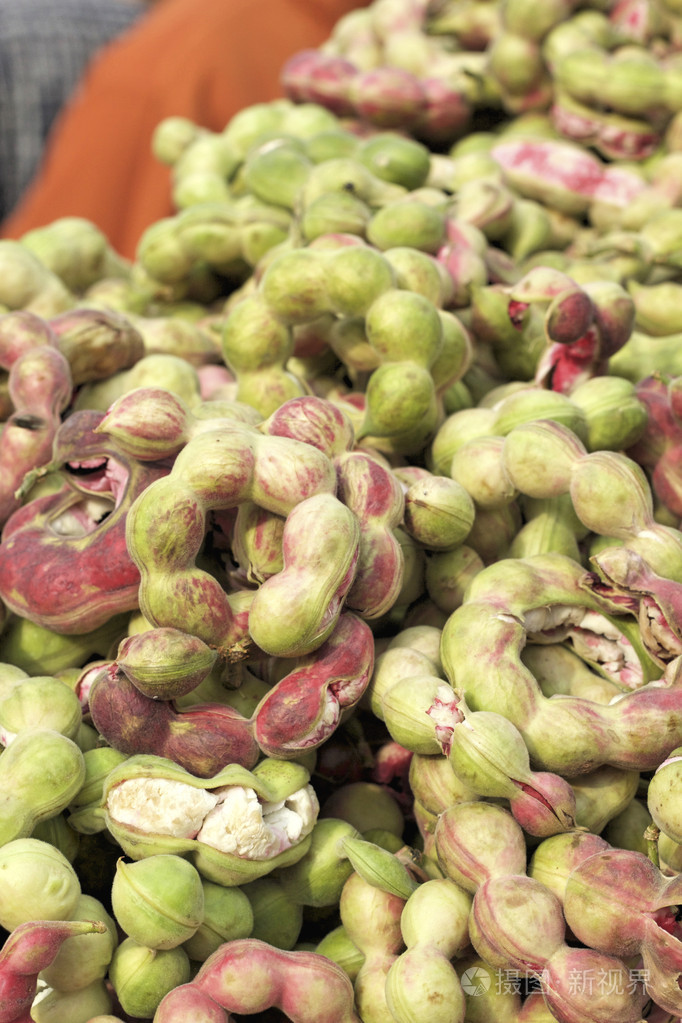 大量的马尼拉罗望子