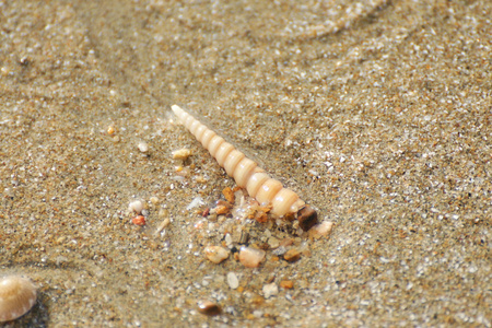 海砂和生活