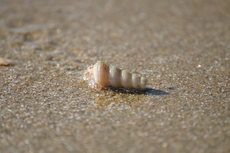 海砂和生活