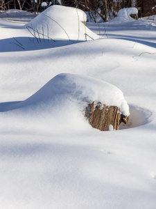 雪下残端图片