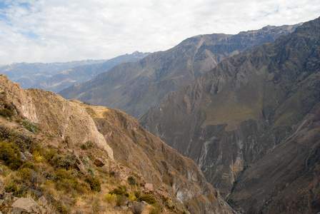 科尔卡大峡谷 秘鲁