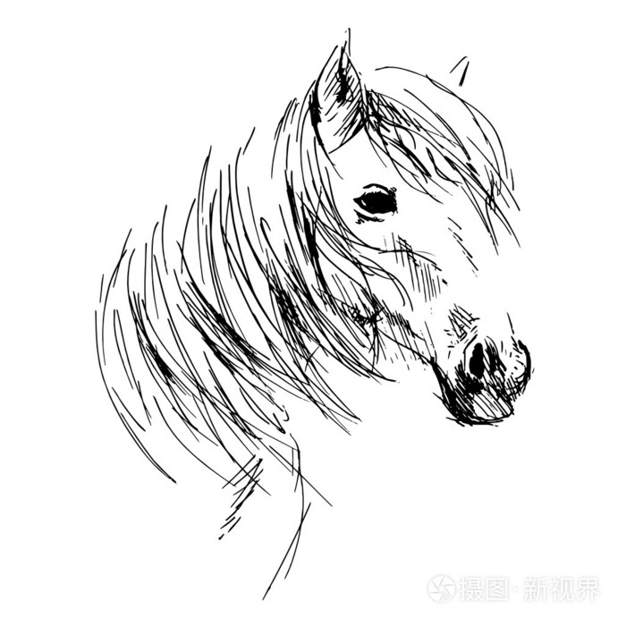 手绘图马头