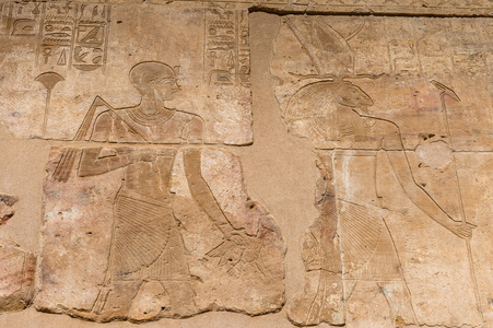 阿波菲斯hibis,埃及照片