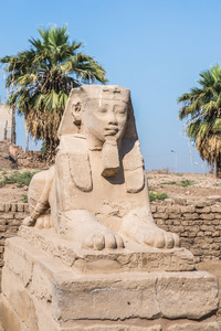 卢克索神庙，东亚银行的尼罗河，埃及图片