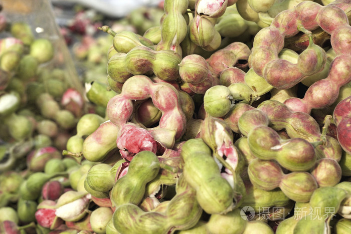 大量的马尼拉罗望子