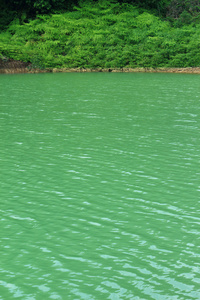 绿湖