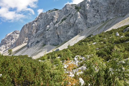 阿尔卑斯山