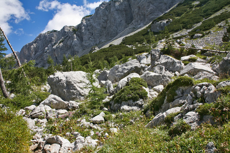 阿尔卑斯山