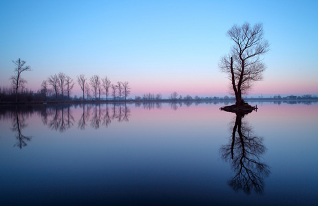 树在日出，斯洛伐克的湖