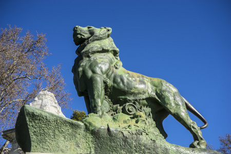 古典的青铜雕塑的狮子