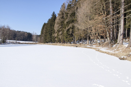 池塘在冬天雪下