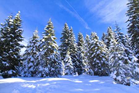 雪