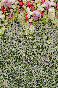 五颜六色的鲜花与绿色婚礼背景墙
