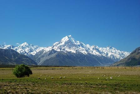 库克山伟大