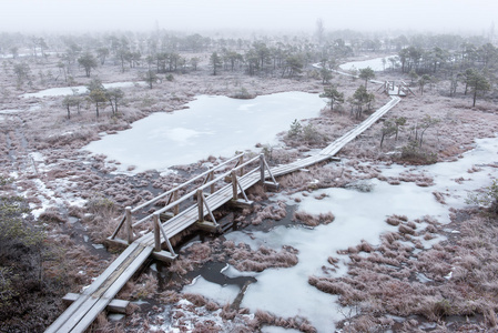 在寒冷的冬天沼泽的木板桥
