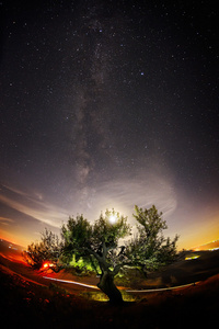 与上述领域银河系夜景