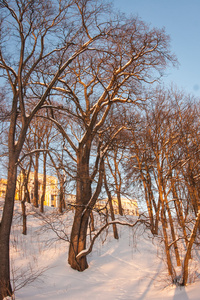 Arkhangelskoye 冬季景观