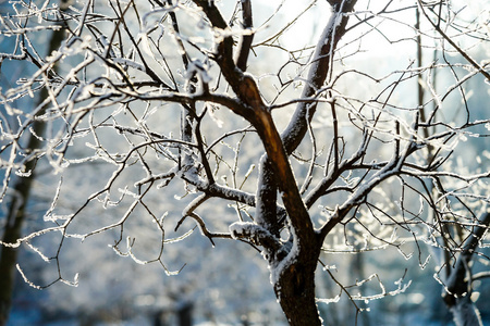 城市公共公园雪冬天天气