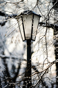 冬季雪域城市公园的路灯