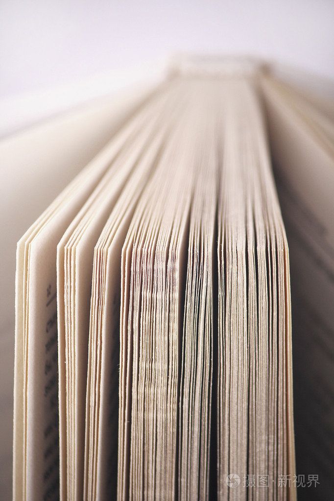打开的书页在白色背景上垂直