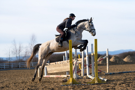 马在跳竞争图片