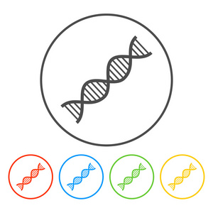 矢量 dna 图标